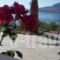 Joanna Studios_holidays_in_Hotel_Crete_Rethymnon_Plakias