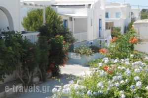 Nicolas Studios_best prices_in_Hotel_Cyclades Islands_Antiparos_Antiparos Chora