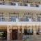 Mouses-X_accommodation_in_Hotel_Macedonia_Halkidiki_Nea Kallikrateia