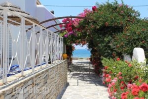 Mare Monte_lowest prices_in_Hotel_Cyclades Islands_Ios_Koumbaras