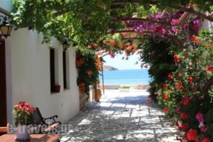 Mare Monte_best prices_in_Hotel_Cyclades Islands_Ios_Koumbaras