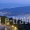 Pilion Terra Hotel_travel_packages_in_Thessaly_Magnesia_Zagora
