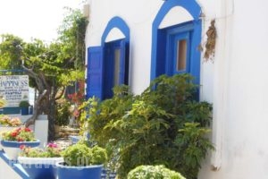 Studios Happiness_best prices_in_Hotel_Ionian Islands_Lefkada_Drimonas
