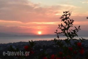 Petrina Villa_holidays_in_Villa_Piraeus islands - Trizonia_Aigina_Aigina Rest Areas