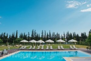 Olea Mare_travel_packages_in_Macedonia_Halkidiki_Poligyros