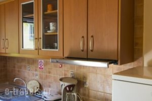 Katia Apartments_best deals_Apartment_Ionian Islands_Paxi_Paxi Chora