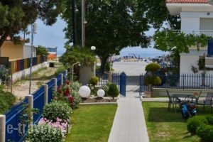 Asteras Hotel_holidays_in_Hotel_Macedonia_Halkidiki_Toroni