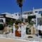 Porto Vlastos_best deals_Hotel_Cyclades Islands_Tinos_Agios Ioannis