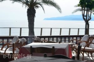 Hotel Thisvi_holidays_in_Hotel_Crete_Heraklion_Malia