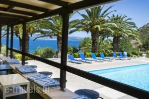 Metaxatos Apartments_lowest prices_in_Apartment_Ionian Islands_Kefalonia_Argostoli