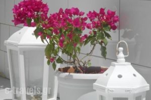 Nicolas Studios_holidays_in_Hotel_Cyclades Islands_Antiparos_Antiparos Chora