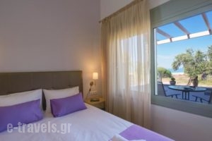 Terra di Olive_best prices_in_Hotel_Macedonia_Kavala_Kavala City