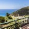Niforos Apartments_best prices_in_Apartment_Ionian Islands_Kefalonia_Kefalonia'st Areas