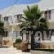Lion-Suites_accommodation_in_Hotel_Crete_Chania_Kalyves