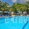 Dolphin Hotel_accommodation_in_Hotel_Sporades Islands_Skopelos_Skopelos Chora