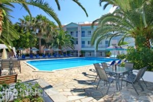 Dolphin Hotel_holidays_in_Hotel_Sporades Islands_Skopelos_Skopelos Chora