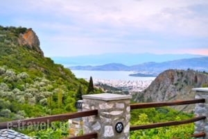 Archontiko Argyro_best prices_in_Hotel_Thessaly_Magnesia_Volos City