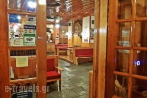 Asterimetsovou_best prices_in_Hotel_Epirus_Ioannina_Metsovo