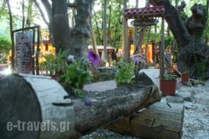 Margaret'S Island Hotel_best prices_in_Hotel_Macedonia_Kozani_Kozani City