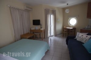 Alcioni Studios_holidays_in_Hotel_Cyclades Islands_Andros_Andros City