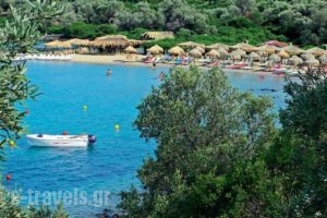 Hotel Kypreos_lowest prices_in_Hotel_Central Greece_Fthiotida_Kamena Vourla