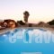 Galini Villa_best deals_Villa_Cyclades Islands_Mykonos_Platys Gialos