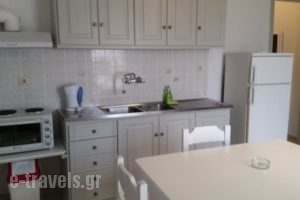 Anixi Apartments_lowest prices_in_Apartment_Cyclades Islands_Mykonos_Mykonos ora