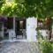 Sivota Rooms Athanasiou_best prices_in_Room_Ionian Islands_Lefkada_Sivota
