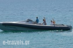 Seaarrow_s __1