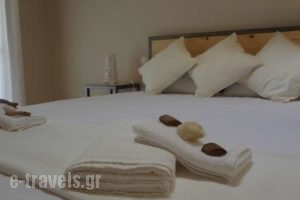 Zonita Guest House_best prices_in_Hotel_Macedonia_Halkidiki_Nea Moudania