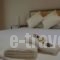 Zonita Guest House_best prices_in_Hotel_Macedonia_Halkidiki_Nea Moudania