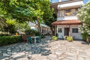 Apartments Xara_holidays_in_Apartment_Thessaly_Larisa_Agia