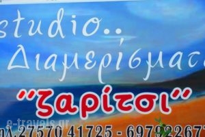 Studios Zaritsi_accommodation_in_Hotel_Peloponesse_Arcadia_Kosmas