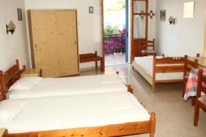 Nikos Hotel_holidays_in_Hotel_Dodekanessos Islands_Karpathos_Diafani