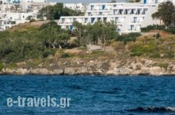 Hippocampus Hotel in Paros Chora, Paros, Cyclades Islands