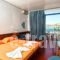 Hippocampus Hotel_holidays_in_Hotel_Cyclades Islands_Paros_Paros Chora