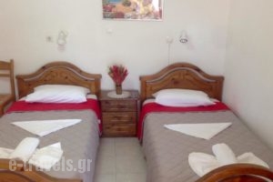 Manolis Maria Flitzani Studios_best prices_in_Hotel_Aegean Islands_Ikaria_Ikaria Chora