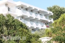 Kolios Beach Studios in Skiathos Chora, Skiathos, Sporades Islands