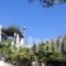 Patriko_accommodation_in_Hotel_Sporades Islands_Skyros_Aspous