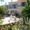 Antonia'S Apartments_holidays_in_Apartment_Central Greece_Evia_Amaranthos