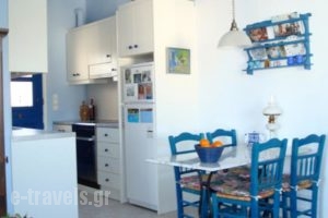 Kirsten's House_holidays_in_Hotel_Cyclades Islands_Syros_Megas Gialos