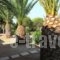 Louiza Apartments_best deals_Apartment_Aegean Islands_Chios_Volissos