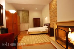 Hotel Parnassos_lowest prices_in_Hotel_Central Greece_Fokida_Delfi