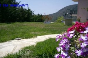 Sunny Sea Apartments_accommodation_in_Apartment_Epirus_Preveza_Parga