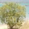 To Kyma_best deals_Hotel_Peloponesse_Lakonia_Elafonisos