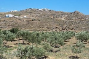 Lino Apartments_accommodation_in_Apartment_Cyclades Islands_Mykonos_Mykonos Chora