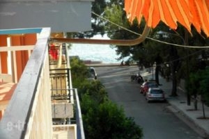 Hotel Drosia_best deals_Hotel_Central Greece_Evia_Edipsos
