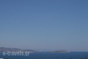 Ergina Summer Resort_holidays_in_Hotel_Cyclades Islands_Antiparos_Antiparos Chora