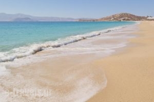 Karabatsis Studios_best prices_in_Hotel_Cyclades Islands_Naxos_Agios Prokopios