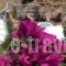 Ergina Studios_best prices_in_Hotel_Cyclades Islands_Ios_Ios Chora